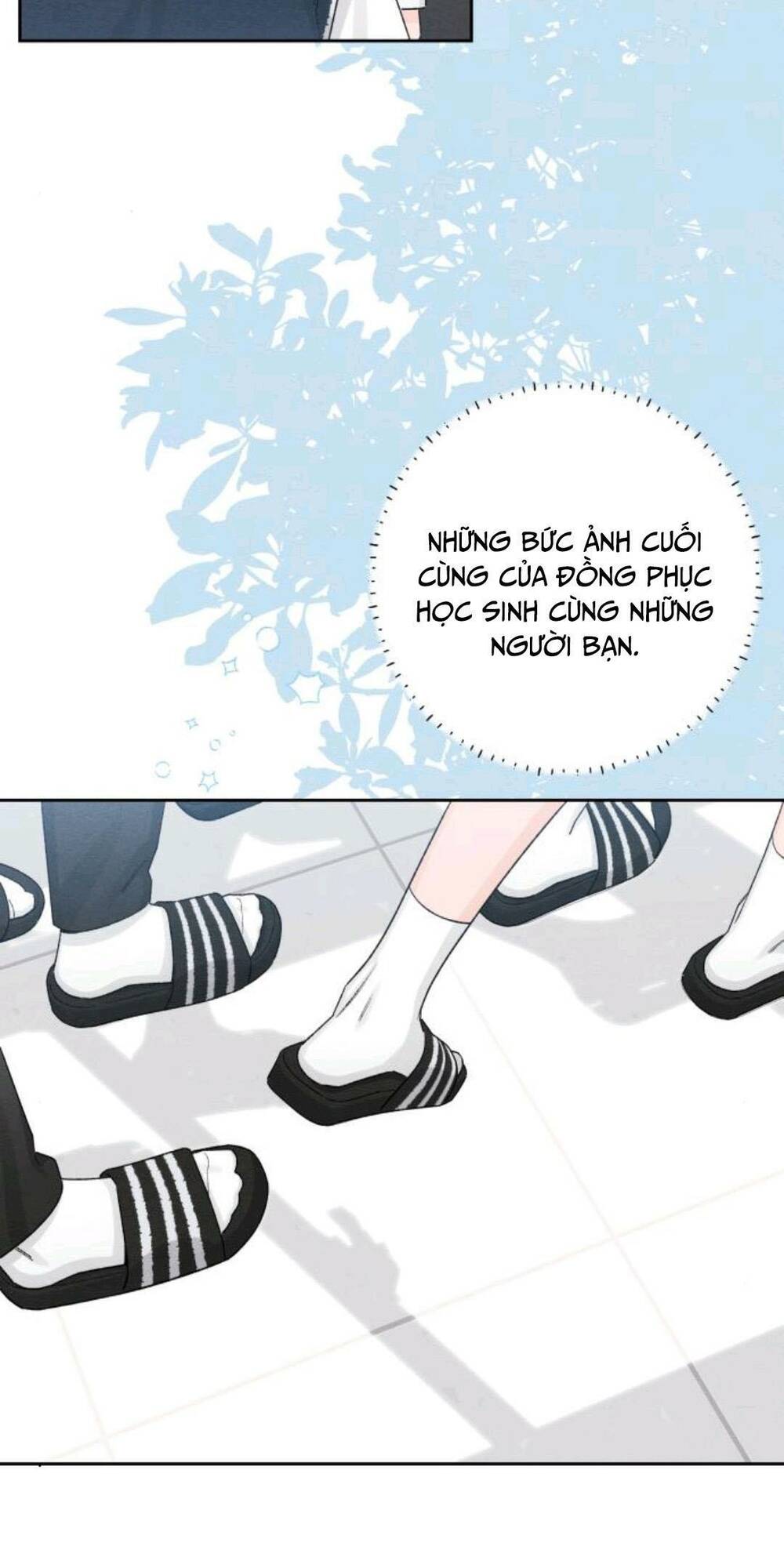 Bí Mật Thanh Xuân chapter 59 51