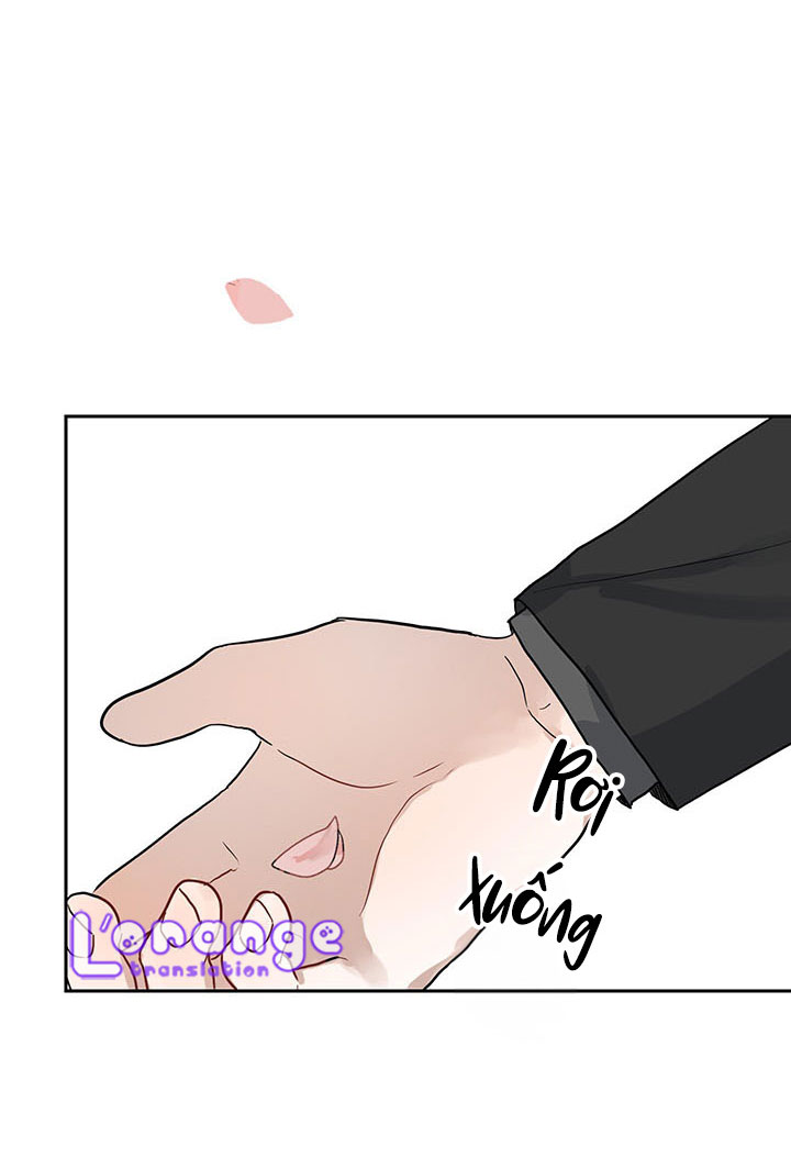 mùa xuân lại đến chapter 2 48