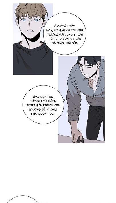 loài chim không bay chapter 1 15