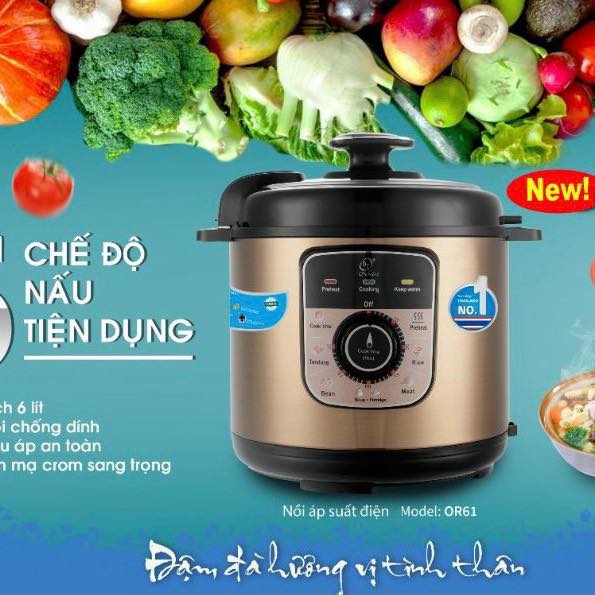 Nồi áp suất điện đa năng Orkin OR61 dung tích 6 lít - Hàng chính hãng