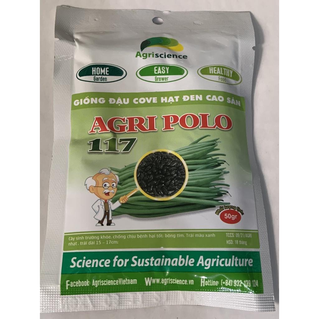 Hạt giống đậu Cove hạt đen cao sản - Agri Polo 117