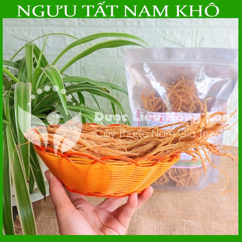 100g Ngưu Tất Nam sấy khô loại 1