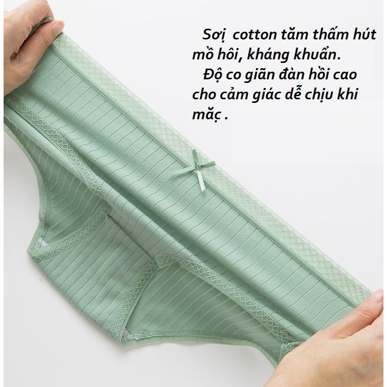 Quần lót nữ, quần cotton tăm gân phối nơ thấm hút mồ hôi Q/C064