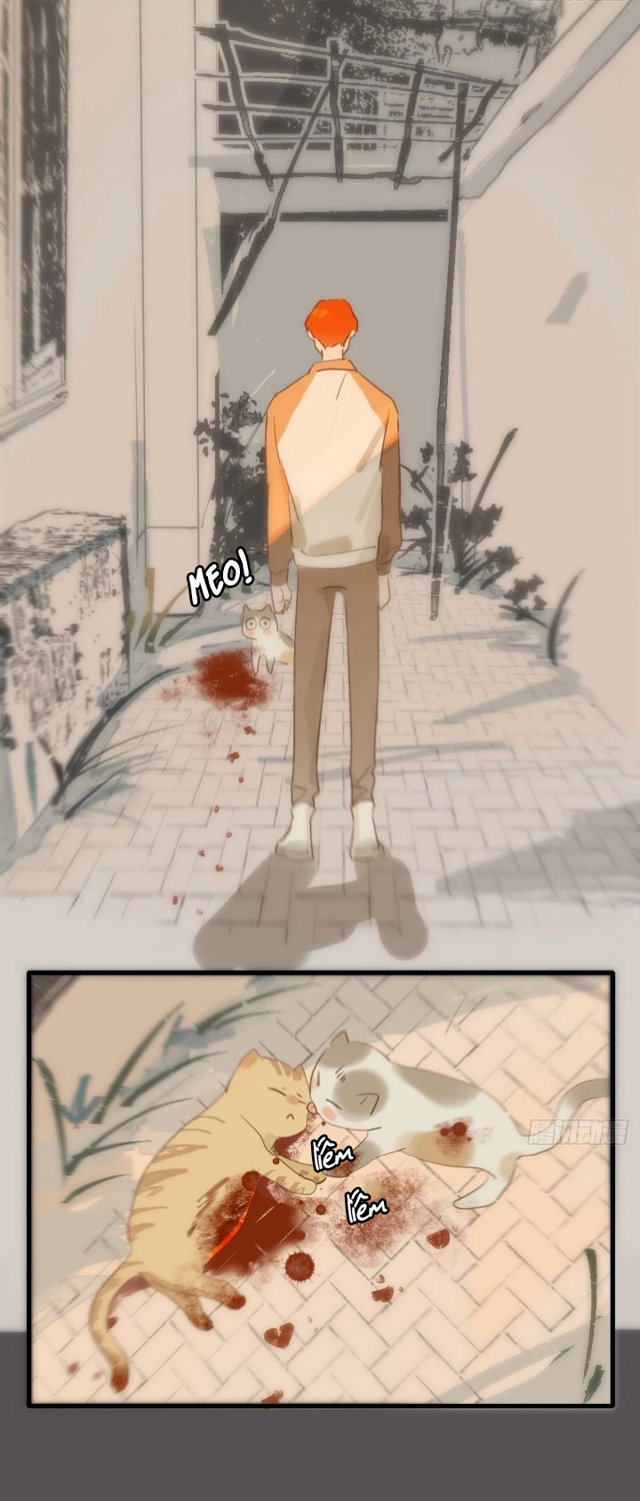 đêm đầy sao nói với em chapter 17 12