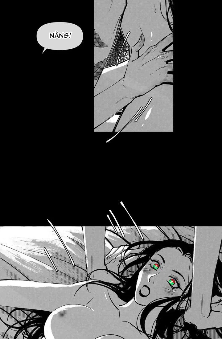 chuyến hành trình của lữ khách chapter 1 28