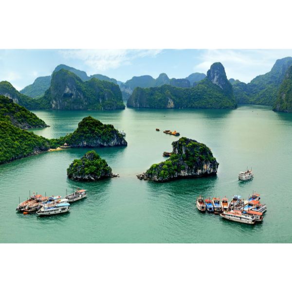 TRANH DÁN TƯỜNG 3D CAO CẤP | TRANH DÁN TƯỜNG | TRANH TRANG TRÍ | T3DMN-T6-VAD_SSTH04048