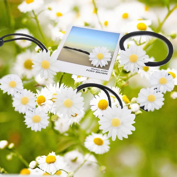 Combo 5 Chun Kẹp Tóc Kẹp Tăm Hoa Cúc