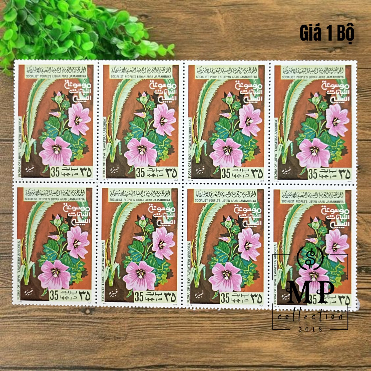Bộ sưu tầm 6 tem hoa Libya khác nhau rực rỡ.