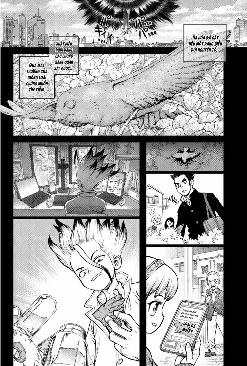 dr.stone - hồi sinh thế giới chapter 229 6