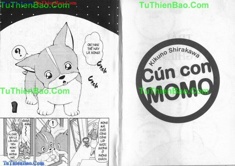 chó con mo mo chapter 5 3