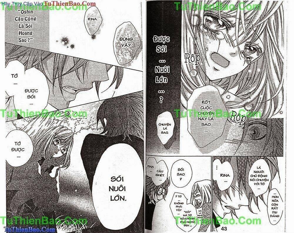 chàng sói dễ thương chapter 1 22