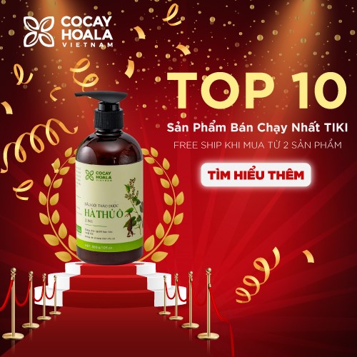 Dầu gội thảo dược Hà Thủ Ô Cỏ Cây Hoa Lá chiết xuất 100% từ thiên nhiên giúp làm chậm quá trình bạc tóc, phục hồi tóc hư tổn COCAYHOALA 300g