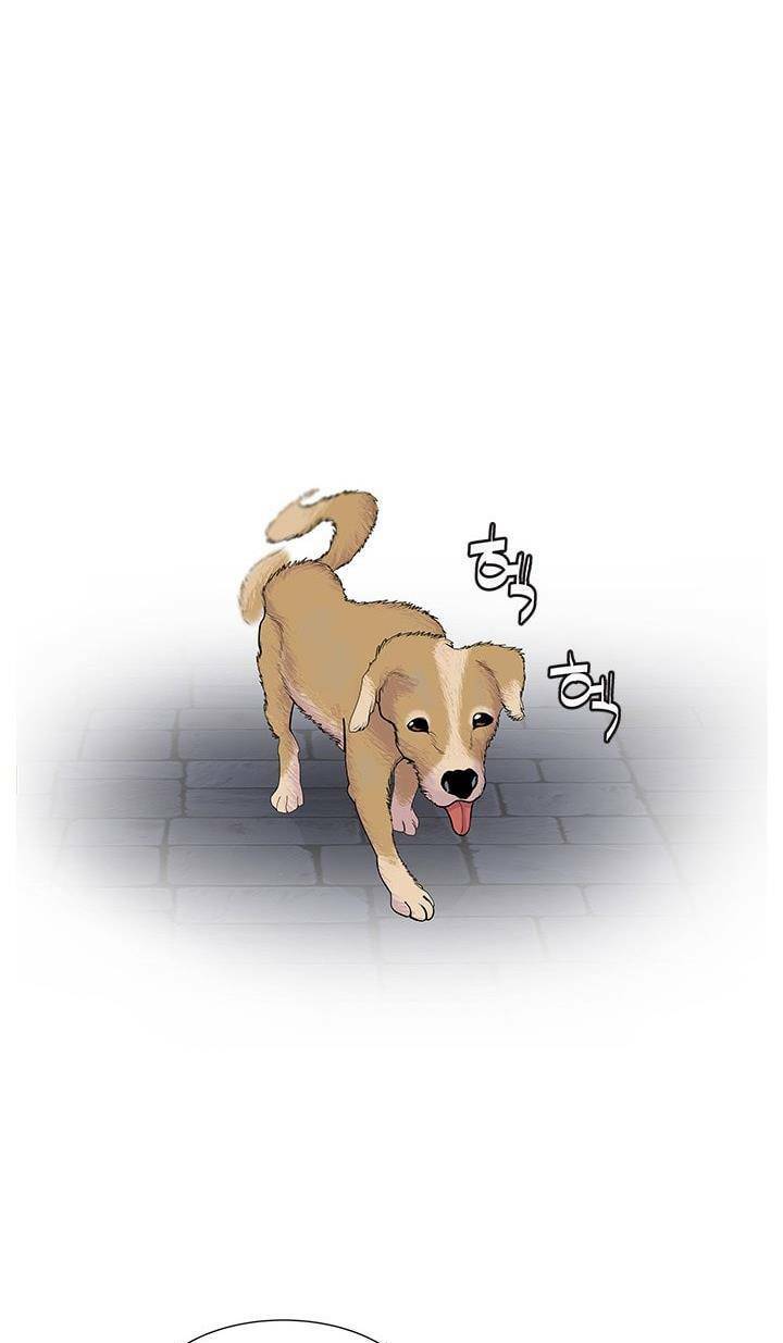 cuộc chiến băng đảng chapter 45 17