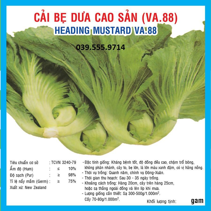Hạt Giống Rau Cải Bẹ Dưa - 50gam - Dễ Trồng Nhanh Thu Hoạch