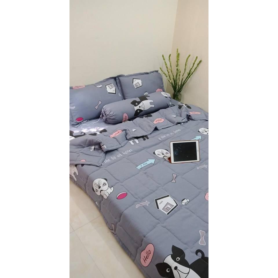 BỘ CHĂN GA ĐŨI HÀN QUỐC