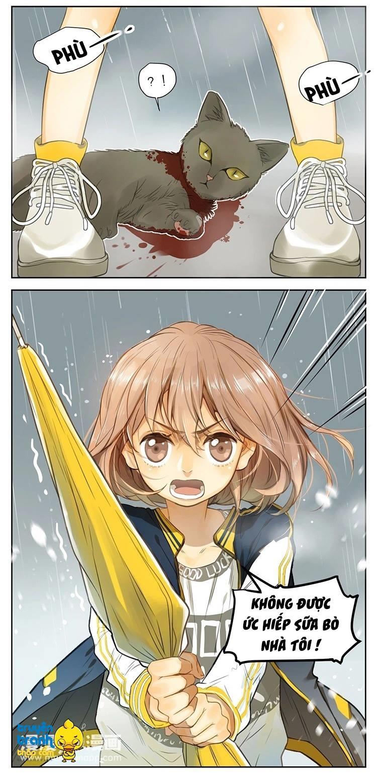 cứu mạng ! loài mèo thống trị thế giới rồi ! chapter 25 21