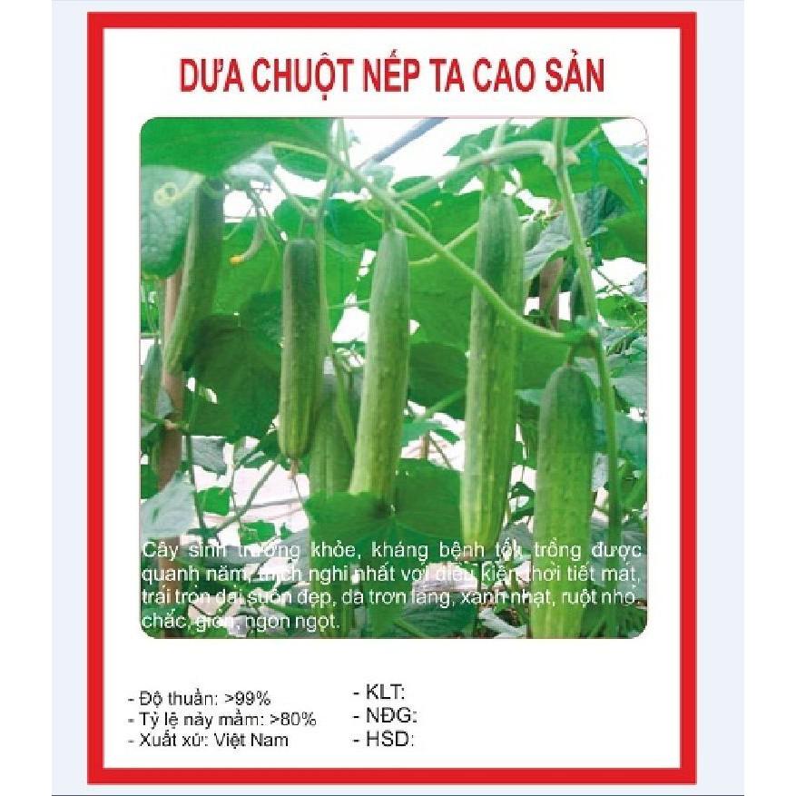 Combo 5 gói hạt giống dưa chuột mix loại – tặng 1 phân bón