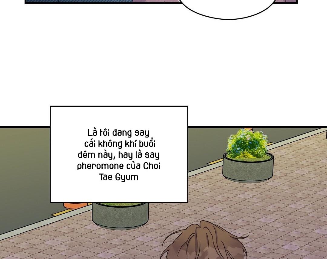 phức cảm tự ti của omega chapter 6 7