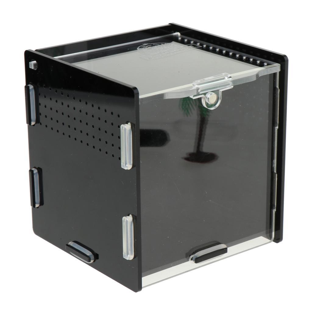 Reptile Vivarium Terrarium