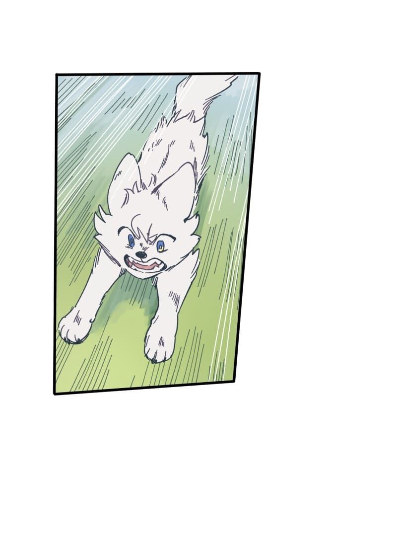 lumine - cội nguồn ánh sáng chapter 134 11