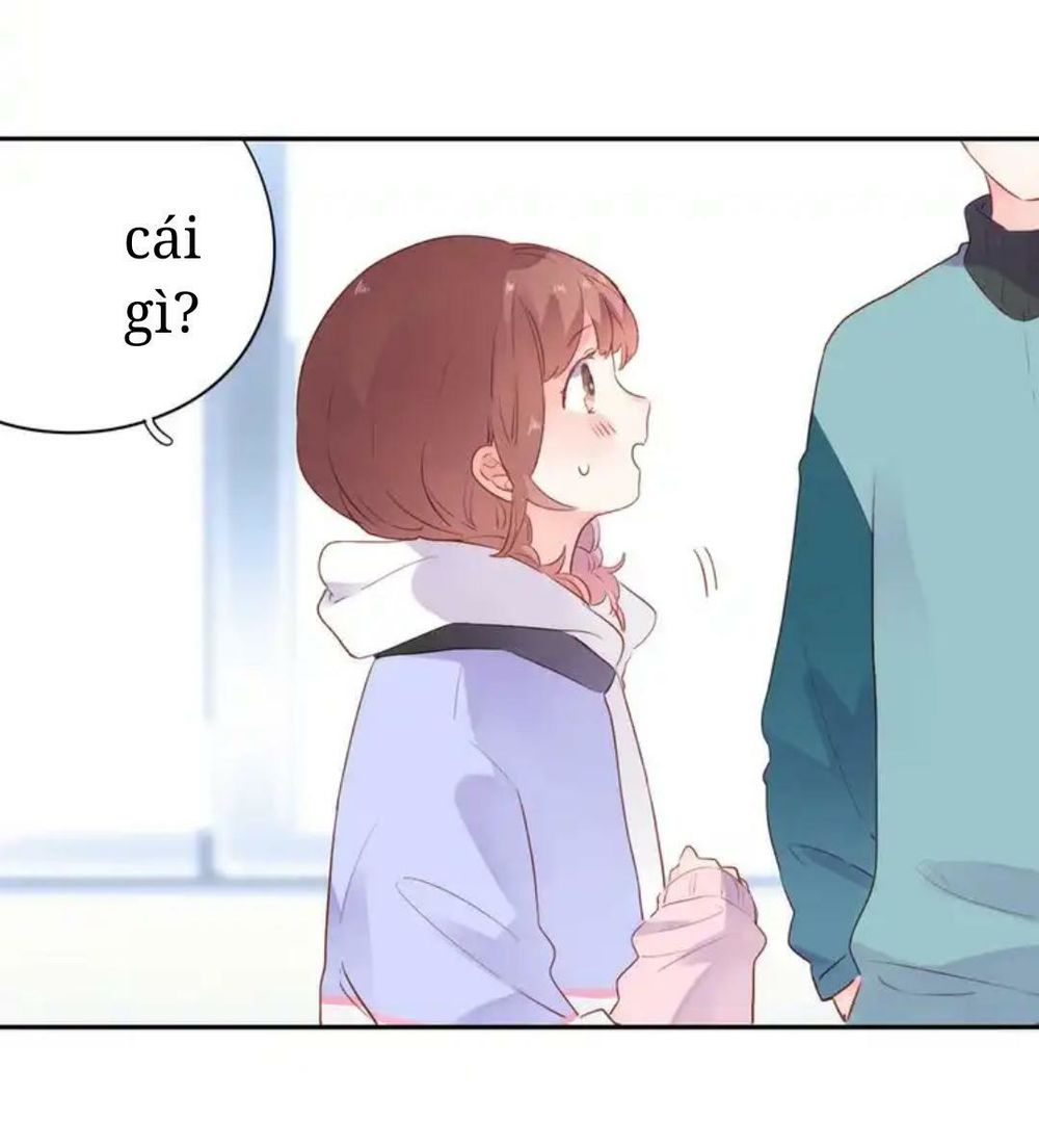 sos! tôi đã yêu một con sâu bướm (phần 2) chapter 49 36