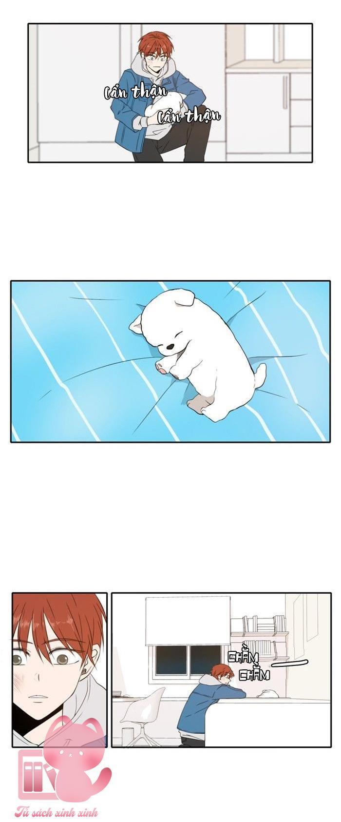 a good day to be a dog chapter 11 23