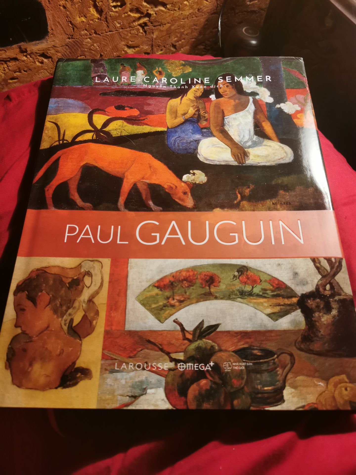 Combo 2 Cuốn Sách Về Cuộc Đời Và Sự Nghiệp Nghệ Thuật Của Gauguin: Đây Là Gauguin + Paul Gauguin