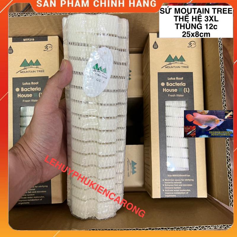 Sứ Củ Sen Thế Hệ 3 Mountain Tree - Size 25cm x 8cm