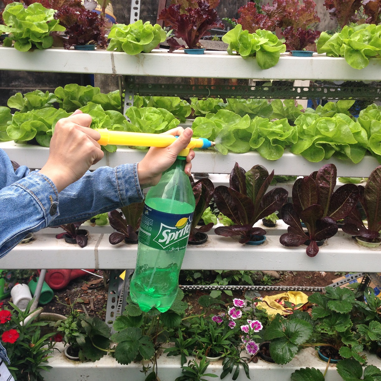 Bộ 3 bơm xịt tưới khí nén