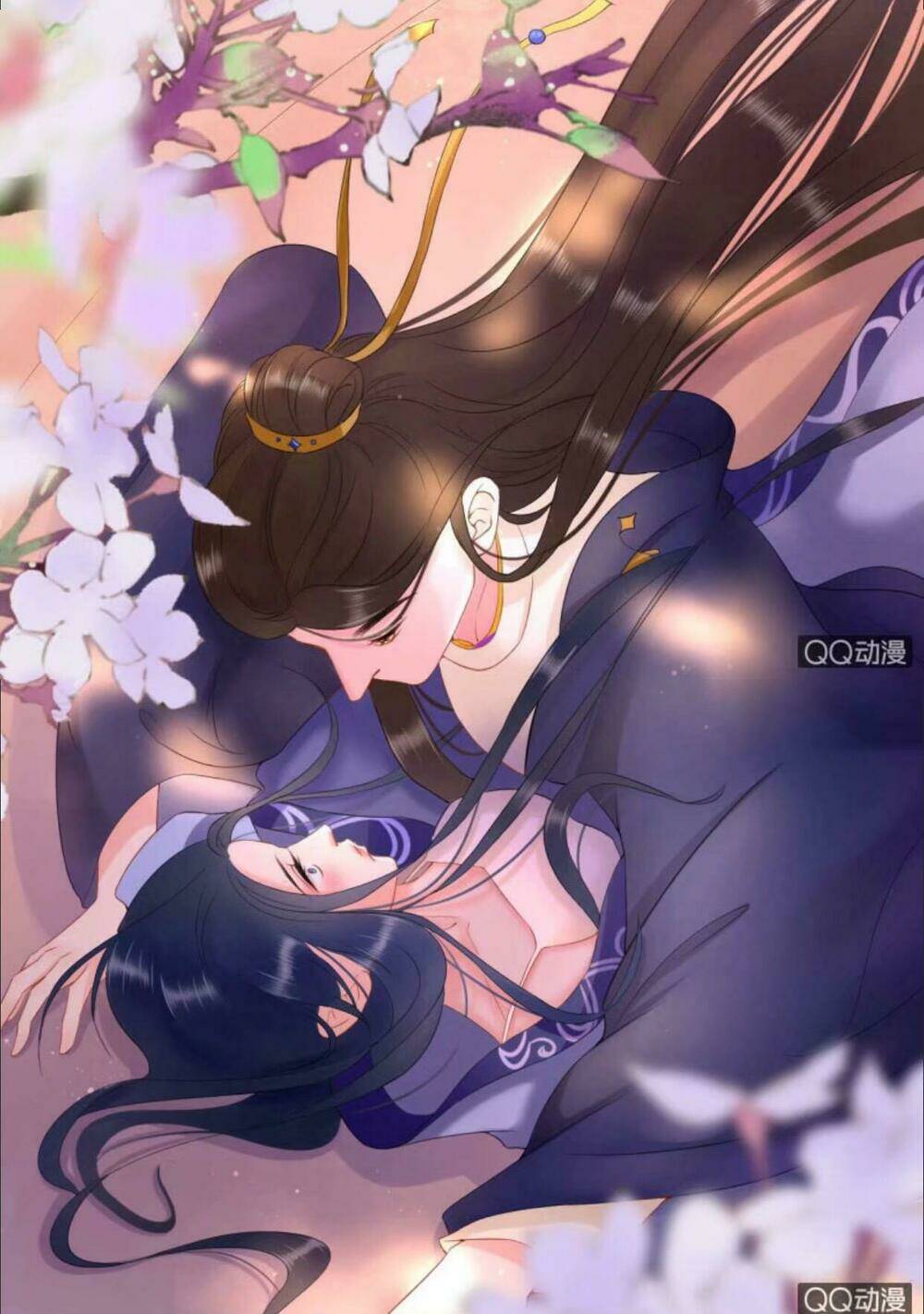 sủng phi của vương chapter 29 29