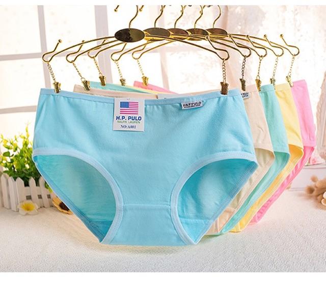 Set 5 Quần lót cotton mẫu HB003 không ngấn mông, thoáng mát