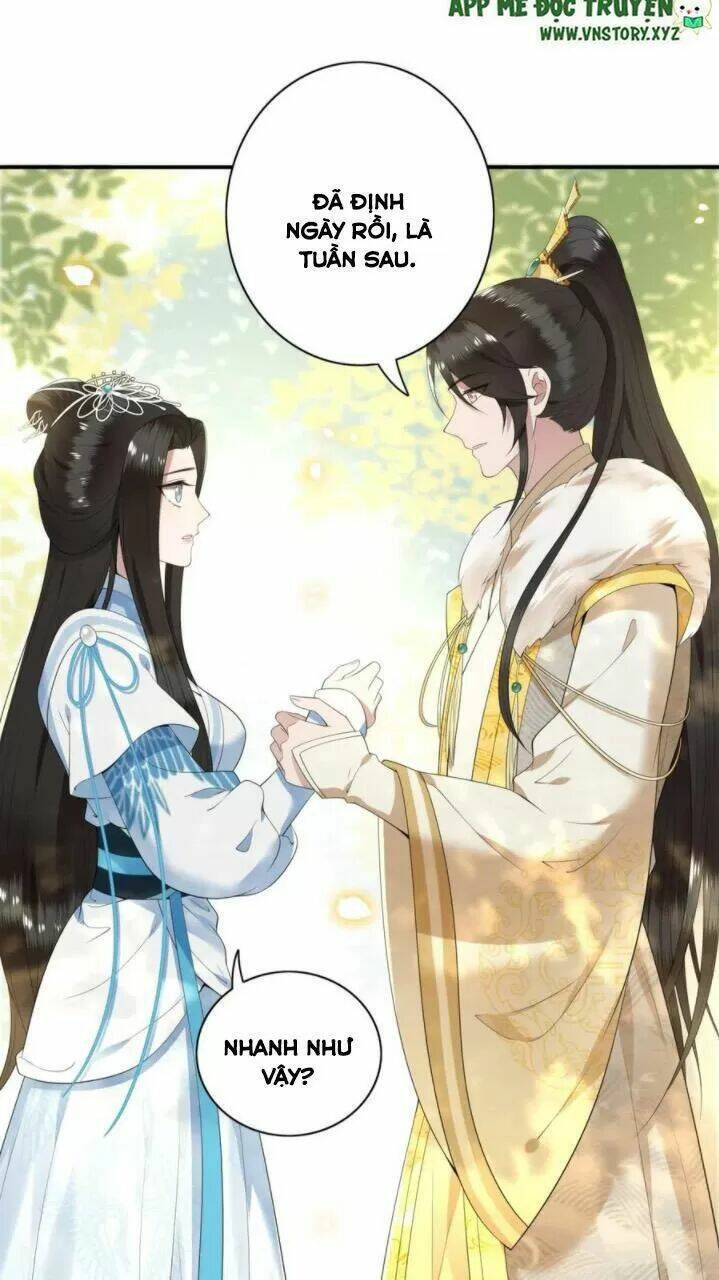 phượng hoàng vu phi chapter 81 9