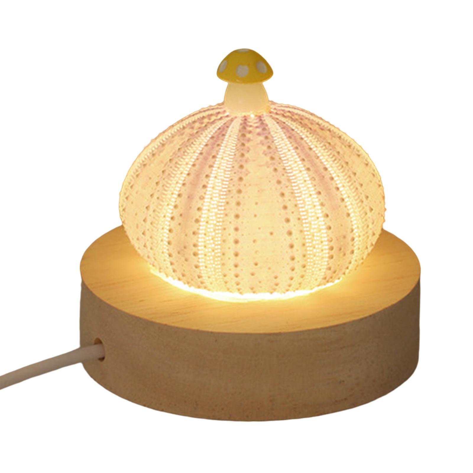 Decorative Table Lights Shell with LED Function Birthday Gift Mini Table Lamp