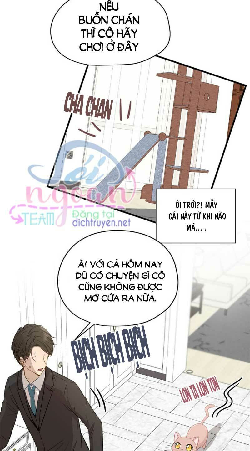 cuộc sống kỳ thú chapter 9 8