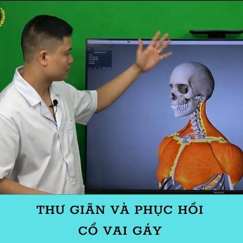 Combo 3 Khóa Học Xoa Bóp Bấm Huyệt Cho Dân Văn Phòng - Trung Tâm VMC