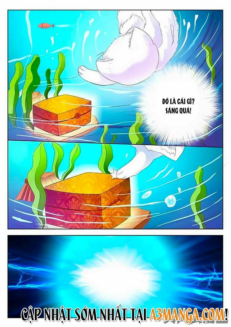 mau lấy con mèo đó ra chapter 1 12