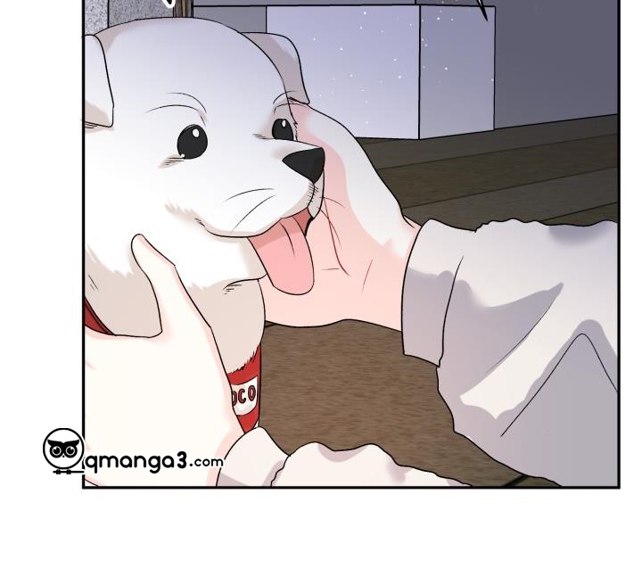 xác suất tình yêu chapter 62 143