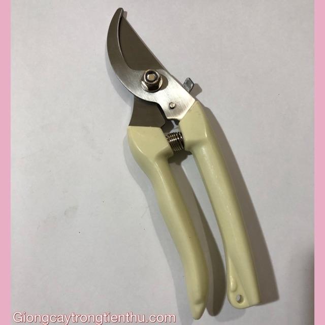 KÉO CẮT TỈA CÀNH CÂY