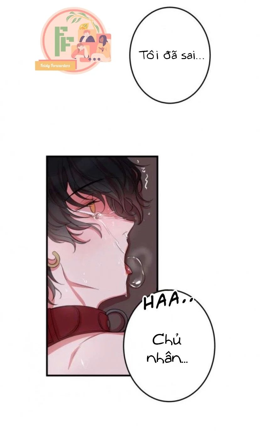 người tình dâm đãng của tôi chapter 4 31