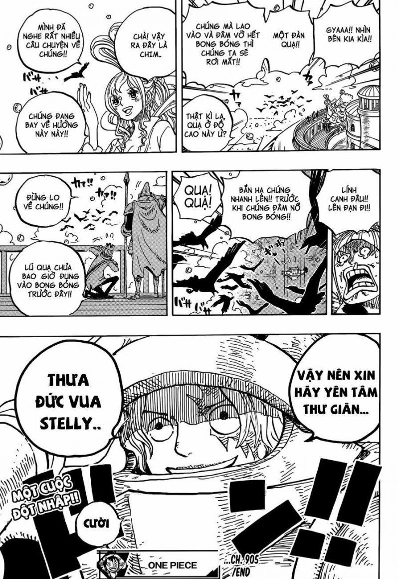 đảo hải tặc - one piece chapter 905 15