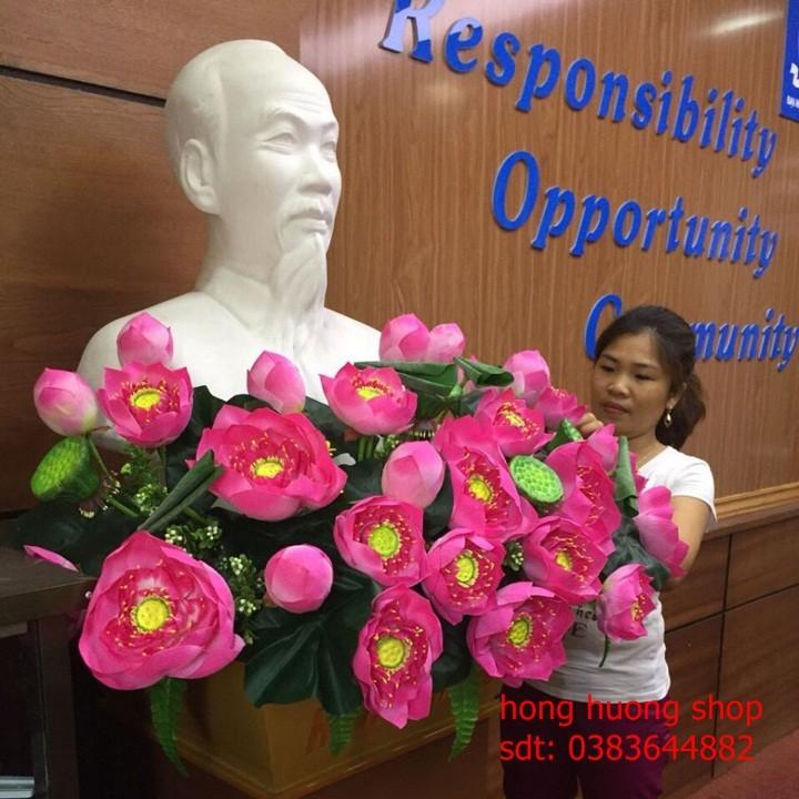 Hạt Giống Hoa Sen Thái| Sen Bách Diệp