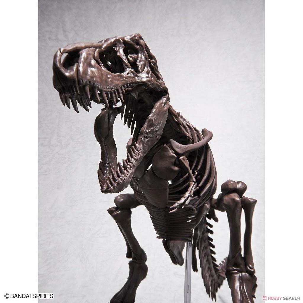 Bộ lắp ráp 1/32 Imaginary Skeleton Tyrannosaurus Khủng long bạo chúa