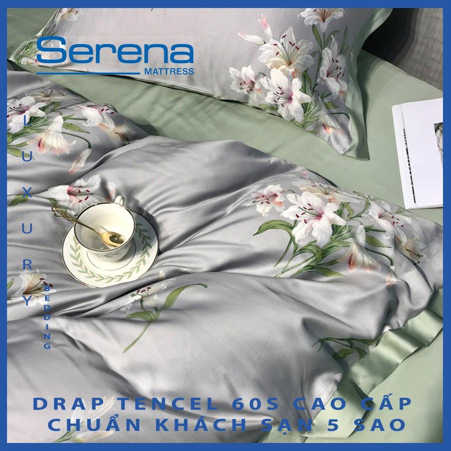 Ga Giường Set Vỏ Chăn Ga Gối Cotton Tencel 60s SERENA Drap Cotton Tencel 5 Món Chần Bông - Hệ Thống Nệm