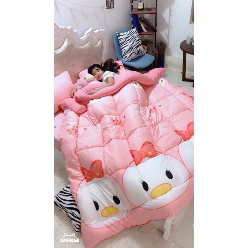 Bộ chăn ga gối phao đũi 4 món 1m6x2m tặng kèm vỏ gối ôm