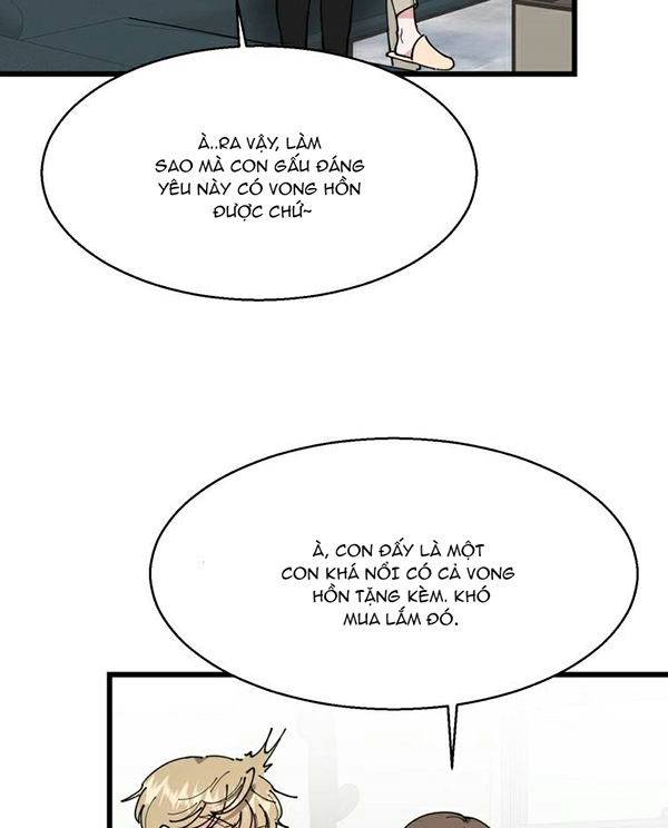 hoán đổi chapter 4 38