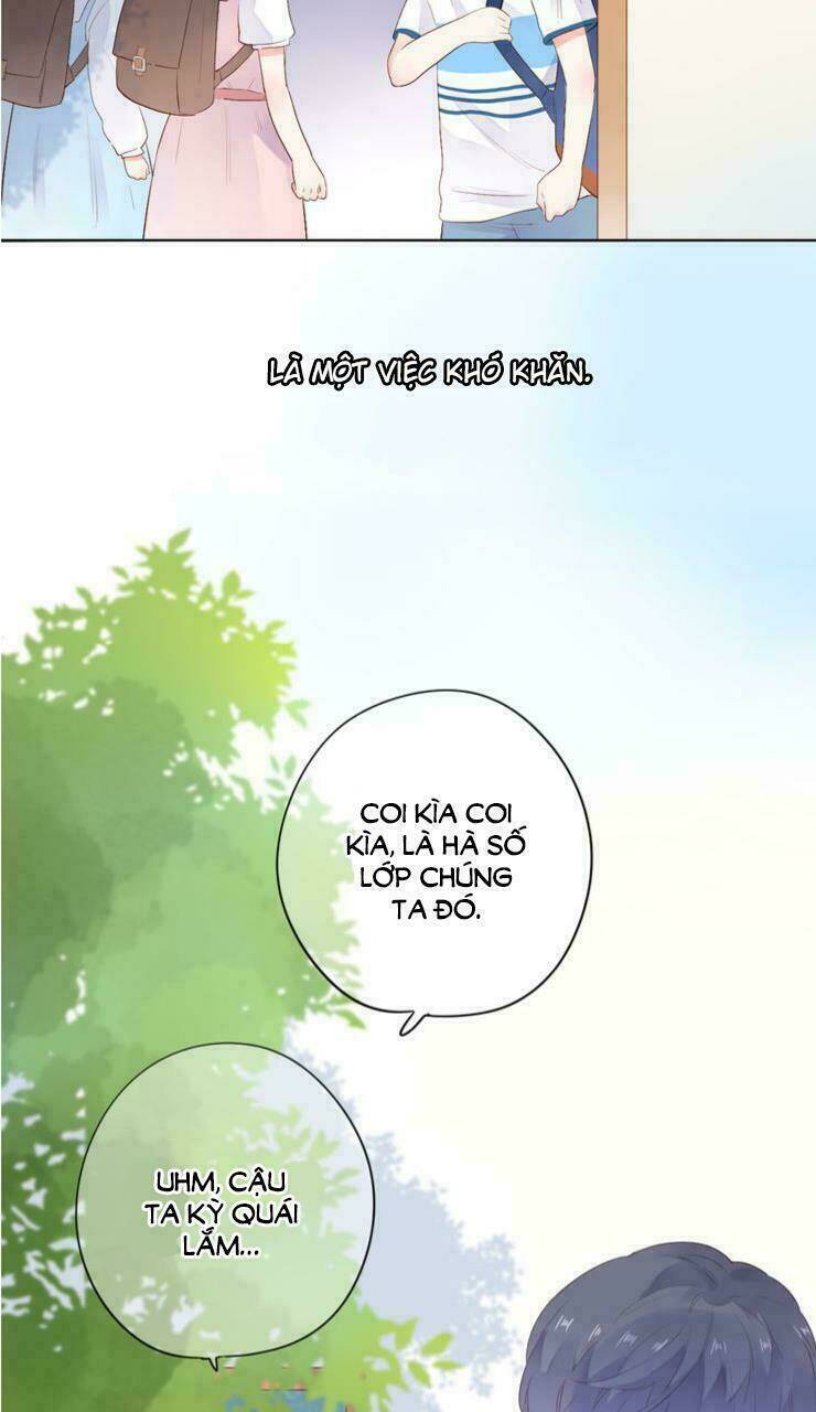 dolo mệnh vận giao nang chapter 37 14