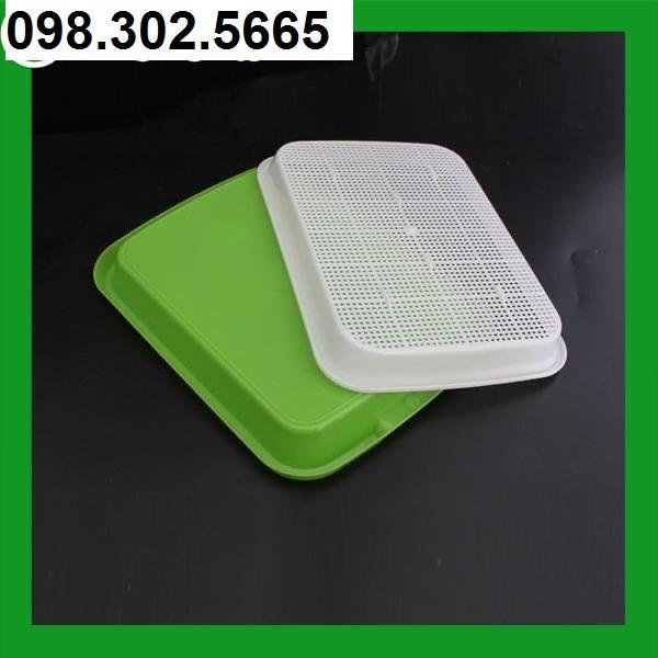 Bộ 2 Khay trồng rau mầm thuỷ canh chuyên dụng và 1 gói hạt rau mầm