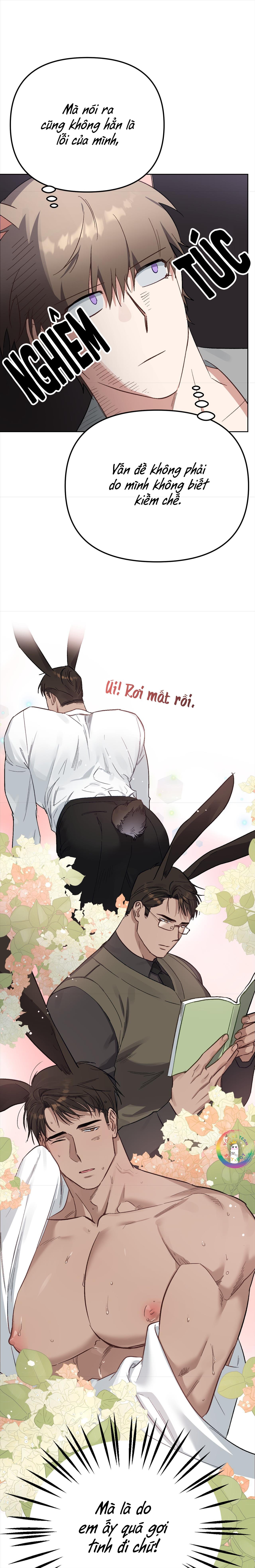 thỏ xuất tinh trong vòng 3 giây chapter 10 12