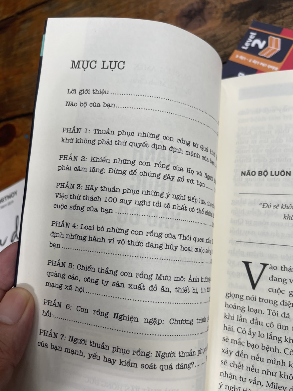 ĐÁNH THỨC NÃO BỘ: KÍCH HOẠT NĂNG LỰC TIỀM ẨN CỦA NÃO BỘ ĐỂ LOẠI BỎ SUY NGHĨ VÀ HÀNH VI TIÊU CỰC - Daniel G. Amen, MD - Bizbooks - NXB Hồng Đức.