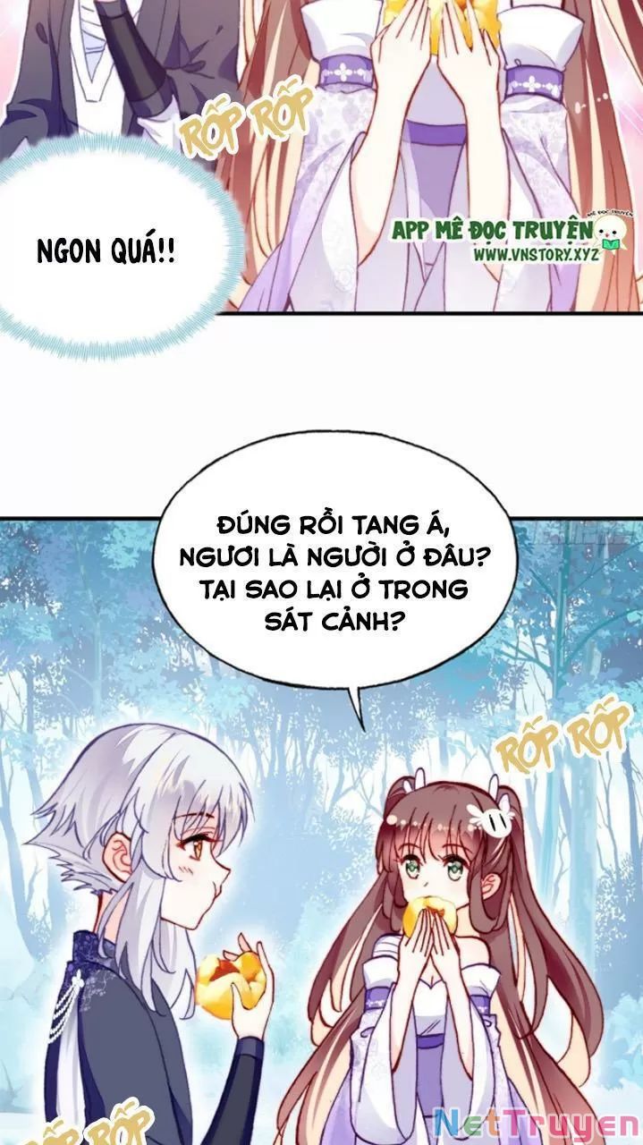 lại bị bệnh chiều chuộng quấn lấy chapter 19 43